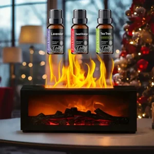 Fireplace Humidifier